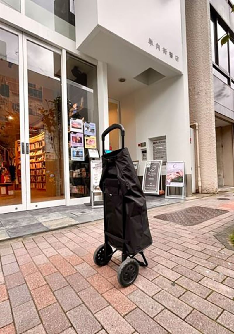 张适之的小推车(张适之提供)