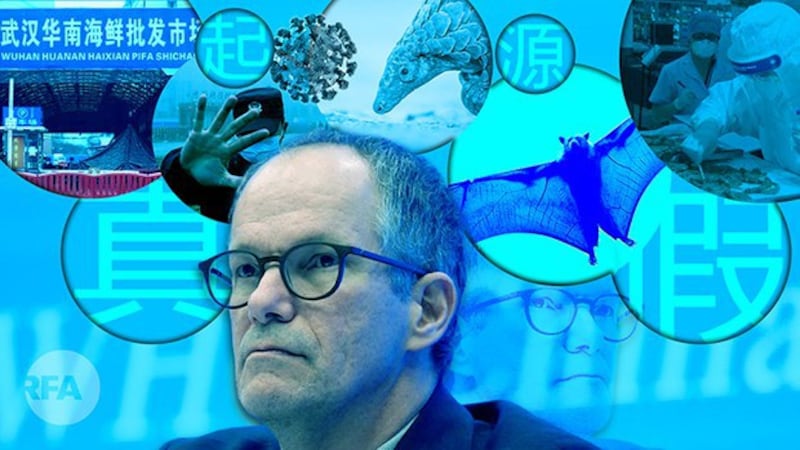 泄密文件显示,武汉科学家曾计划将经过强化、可由空气传播的冠状病毒释放到蝙蝠洞穴中。(自由亚洲电台制图)