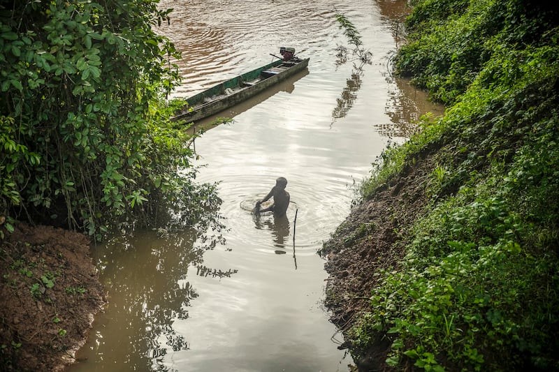 A local fisher recovers fishing nets while catching river fishes in the Mekong River by the forest on Aug. 25, 2022 in Si Phan Don, Laos. (Sirachai Arunrugstichai/Getty Images)