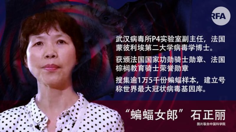 “蝙蝠女郎”石正丽(自由亚洲电台制图)